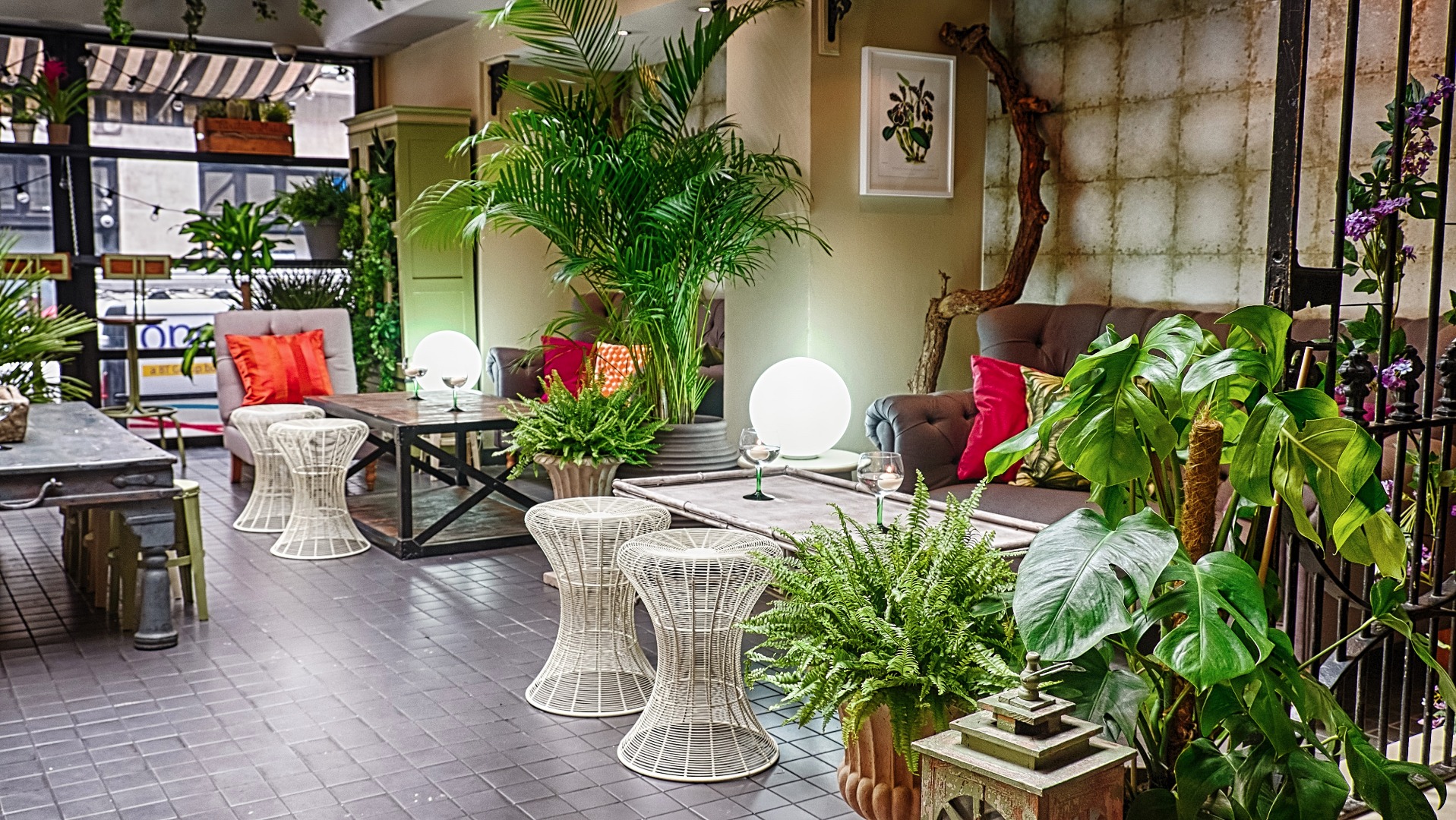 LSN News Light therapy Bar offers its patrons a ray of sunshine